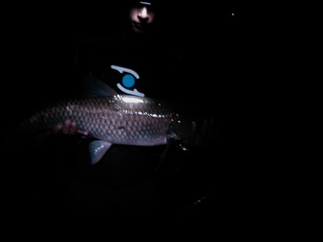 IMAG0157.jpg