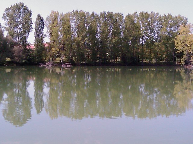 IMAG0148.jpg
