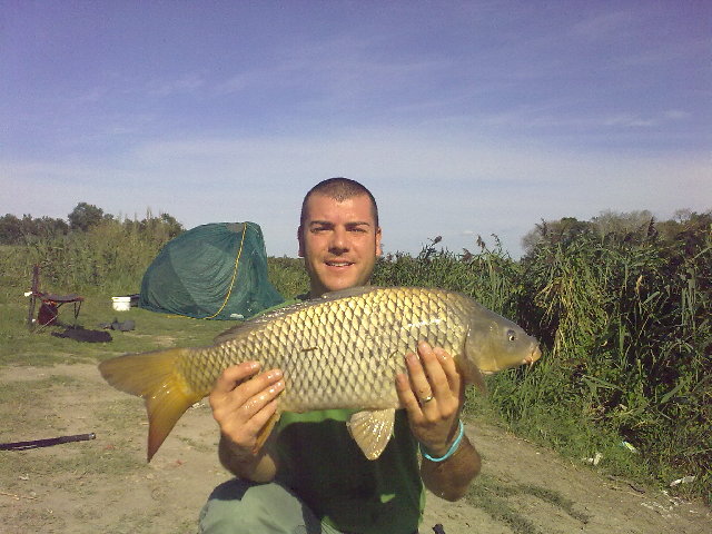 5kg ostell 010.jpg
