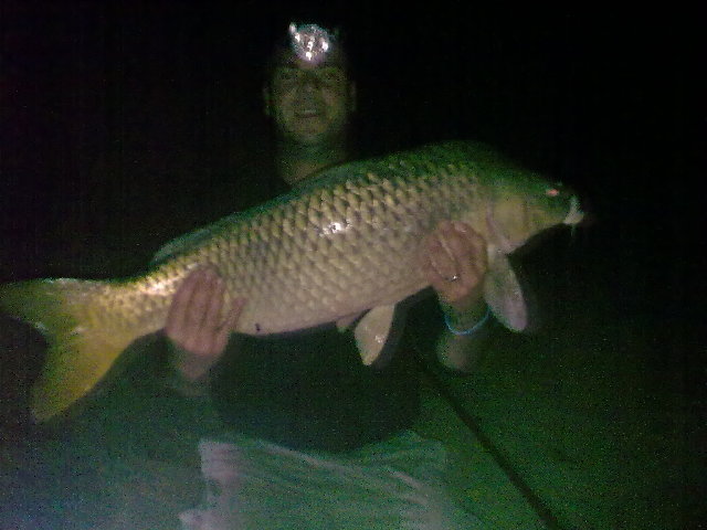 10,5kg ostell 010.jpg