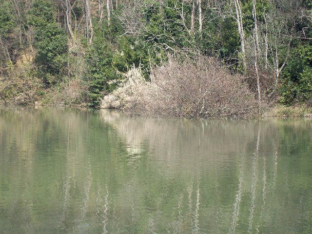 020.JPG