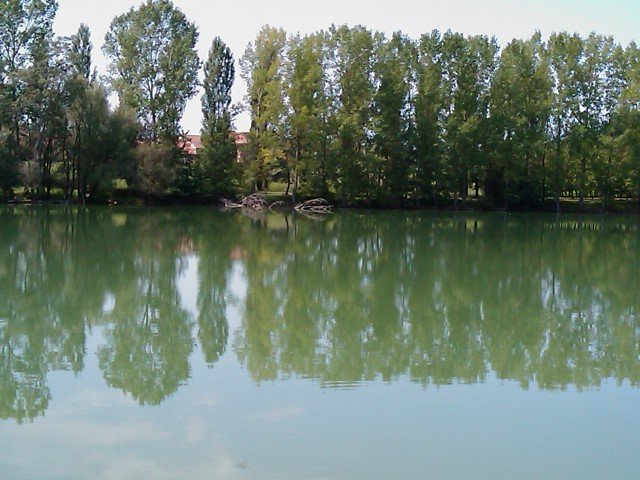IMAG0142.jpg