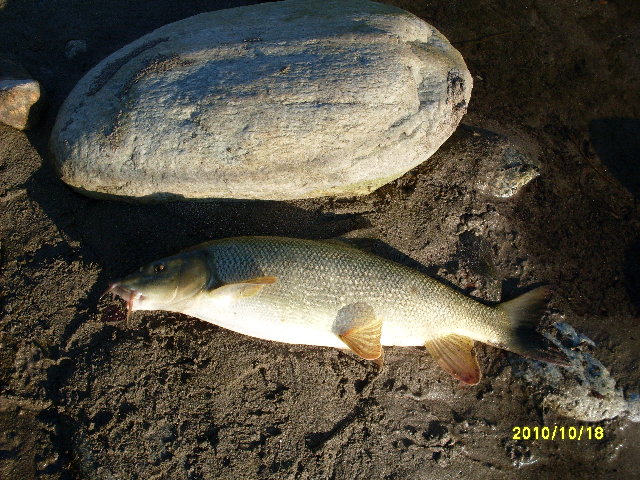 SDC10608.JPG