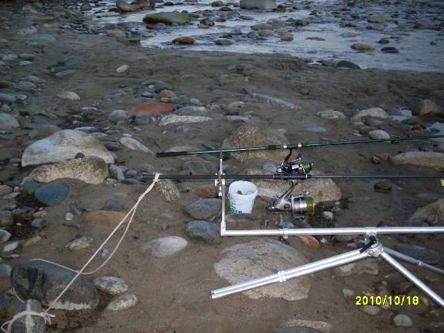 SDC10597.JPG