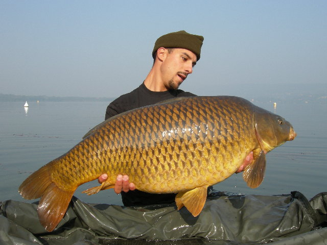 Viverone 030.JPG