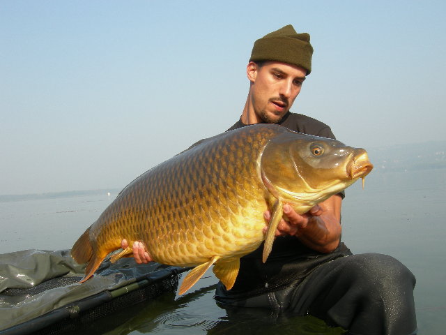 Viverone 035.JPG