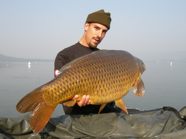 Viverone 033.JPG