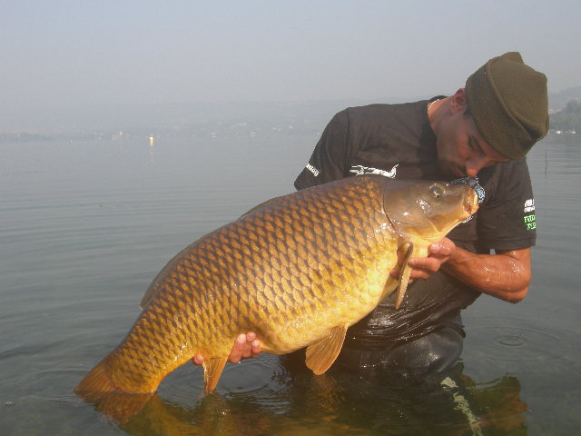 Viverone 040.JPG