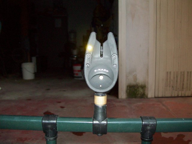 gall 006.jpg