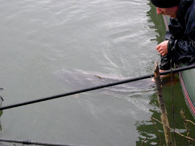 DSCN5421.JPG