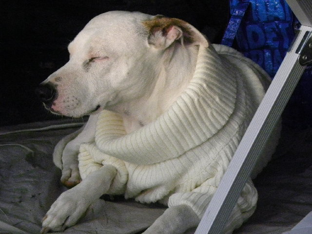 DSCN5391.JPG