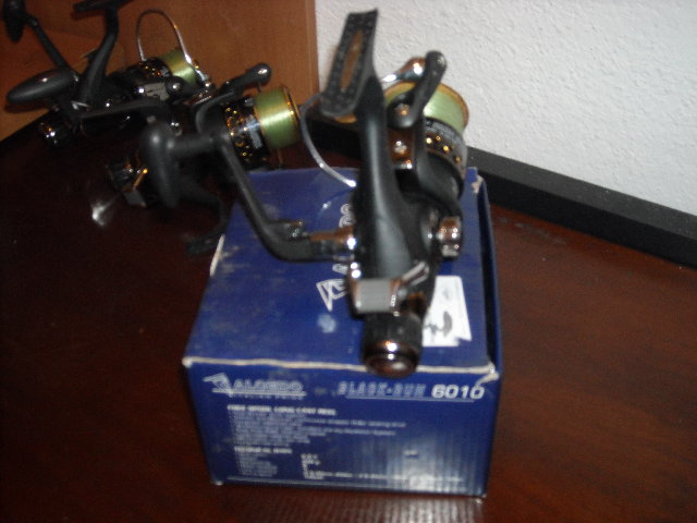 gall 035.jpg