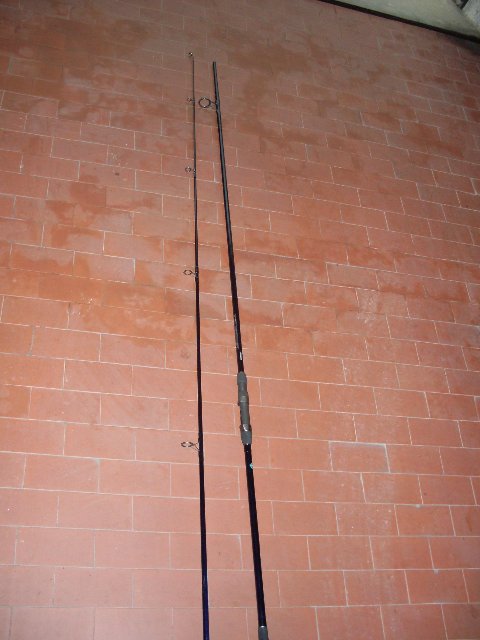 STARBAITS 4.JPG