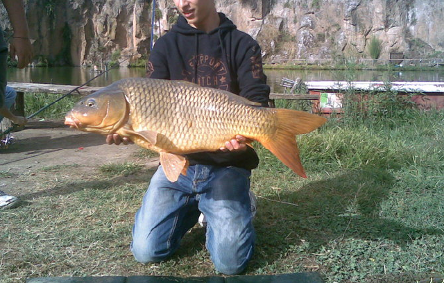 bang.bmp