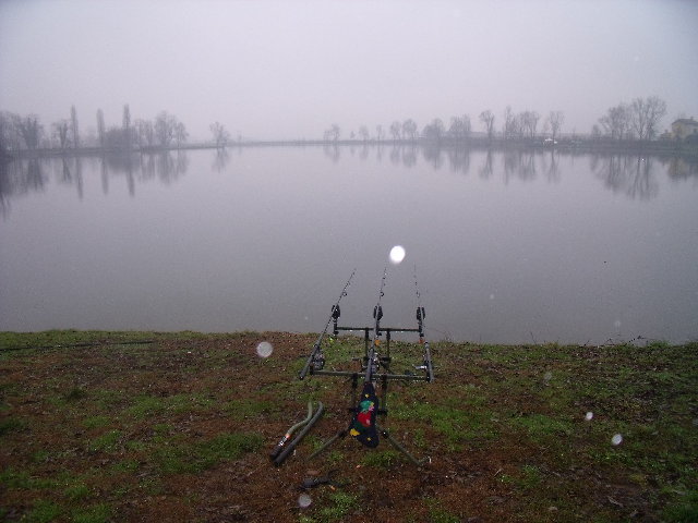 DSCF3528.JPG