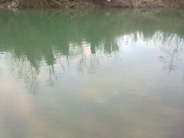 29012011215.jpg