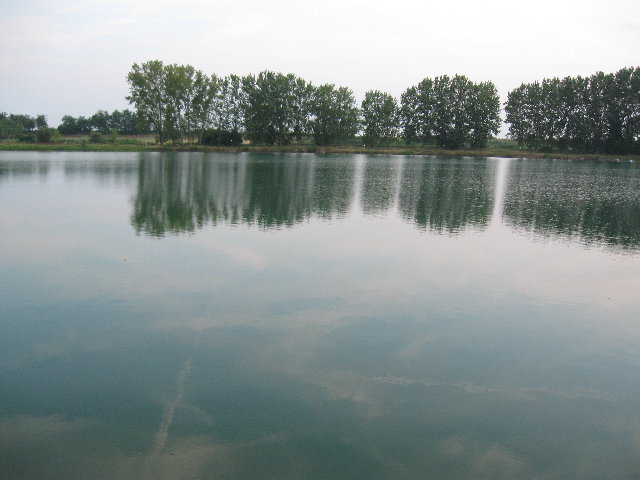 Il lago (2).JPG