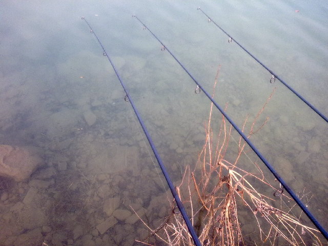 22022011603.jpg