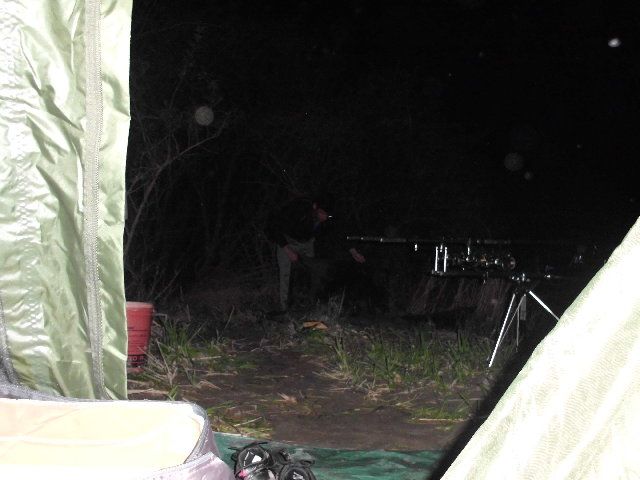 CIMG0254.JPG