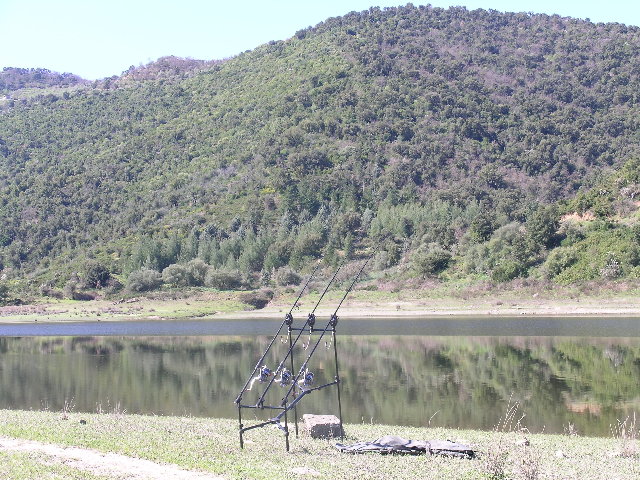 DSCN2100.JPG