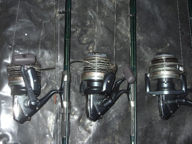 SDC10134.JPG