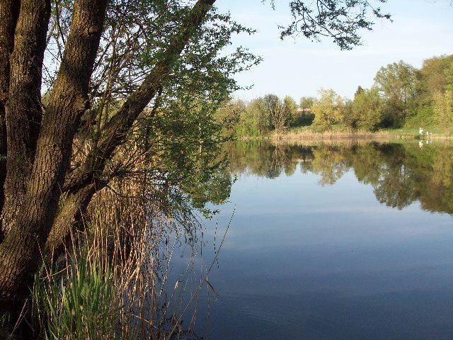 100_1079.JPG
