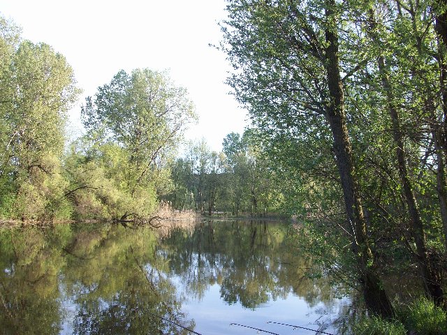 100_1078.JPG