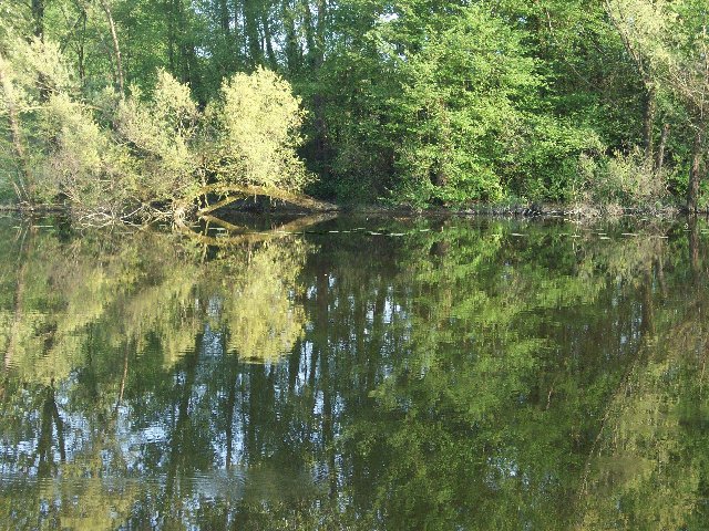 100_1077.JPG