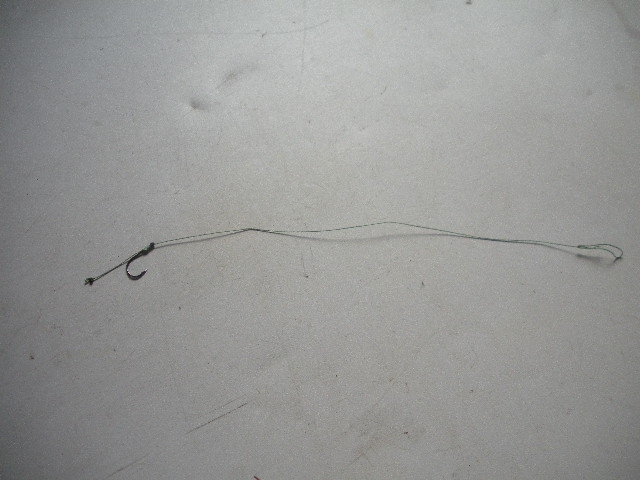 DSCN5408.JPG