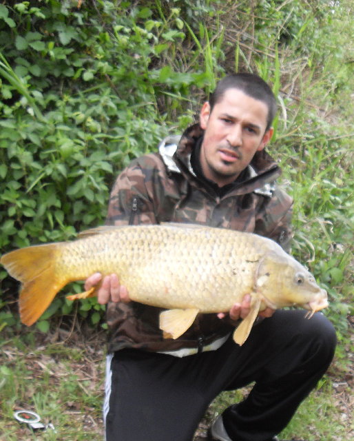 carpa forum.jpg