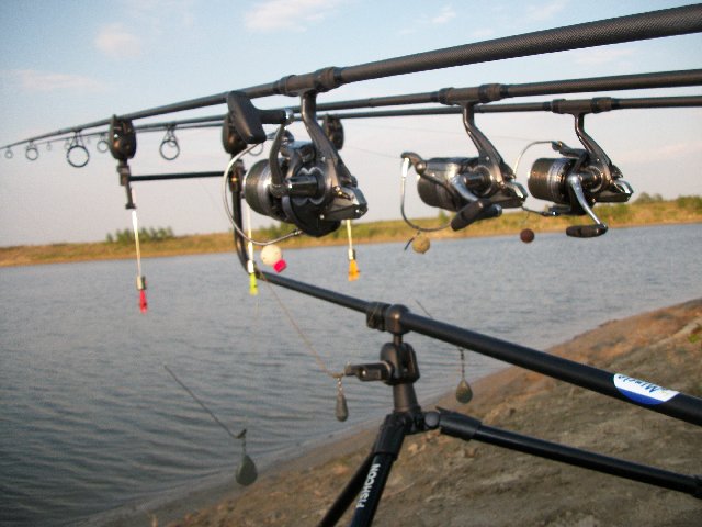 100_0746.JPG