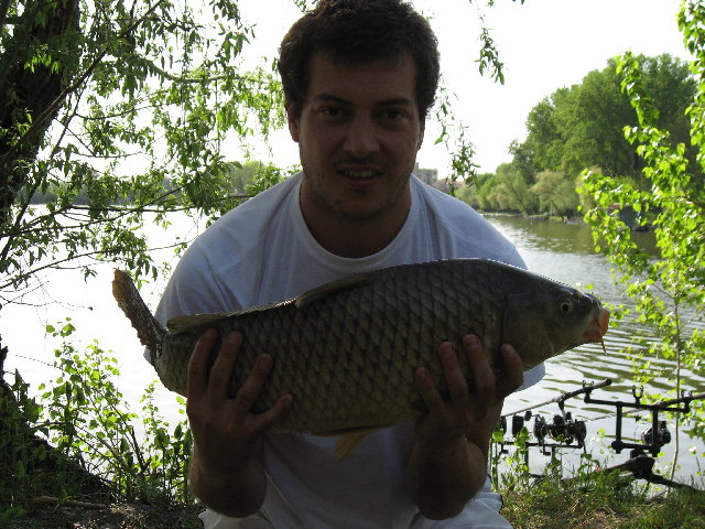 IMG_7004.JPG