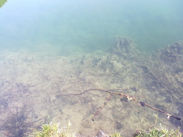 21042011006.jpg