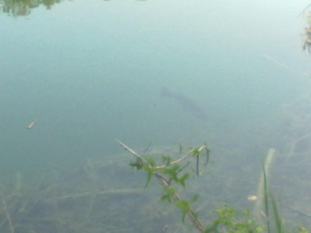 21042011011.jpg