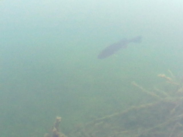 21042011014.jpg