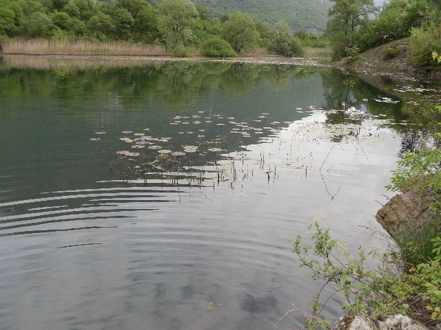 SAM_0255.JPG