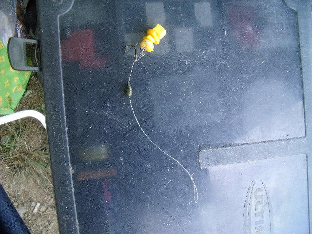 DSCF3687.JPG