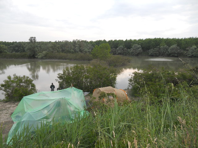 po di goro primavera 2011 007.jpg