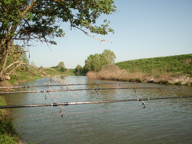 CIMG0262.JPG