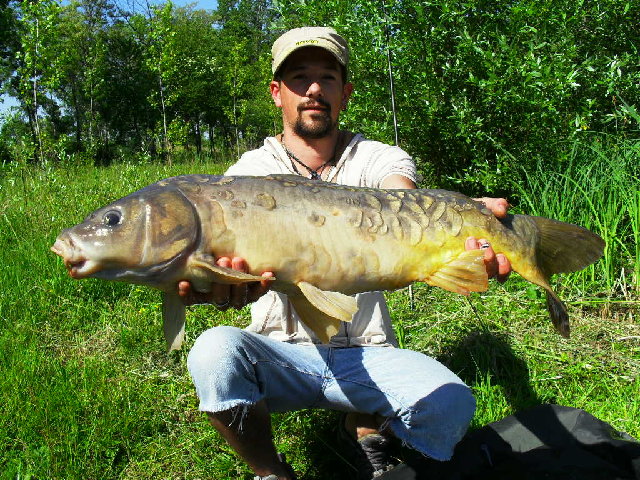 SDC11538.JPG