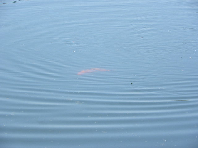 DSCN5865.JPG