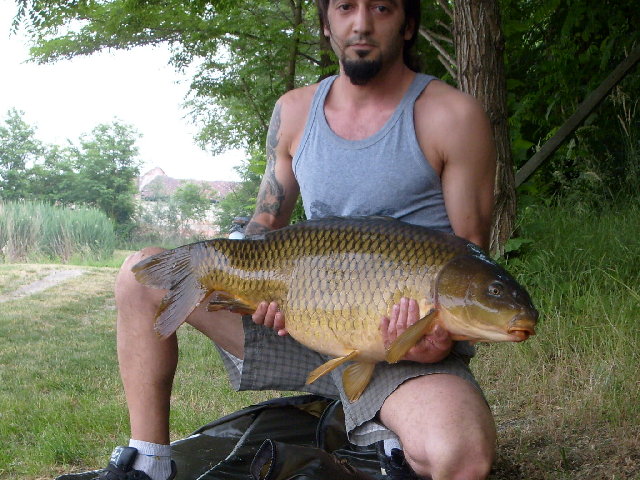 S6300353.JPG