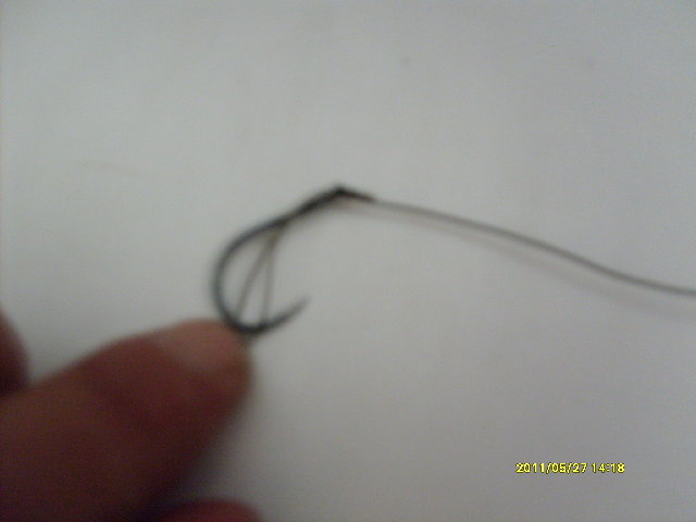 S6300378.JPG