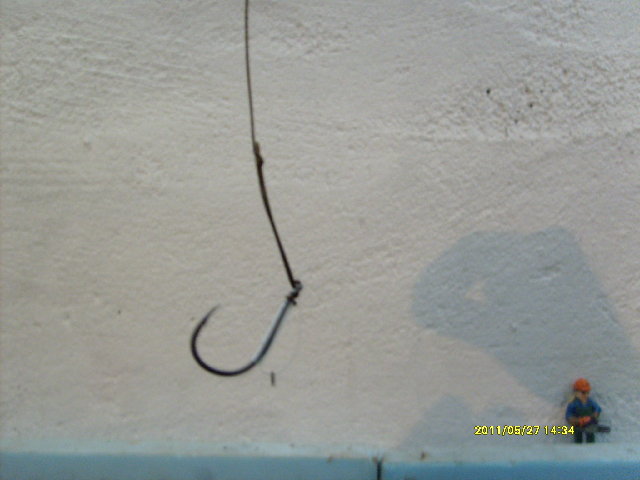 S6300387.JPG