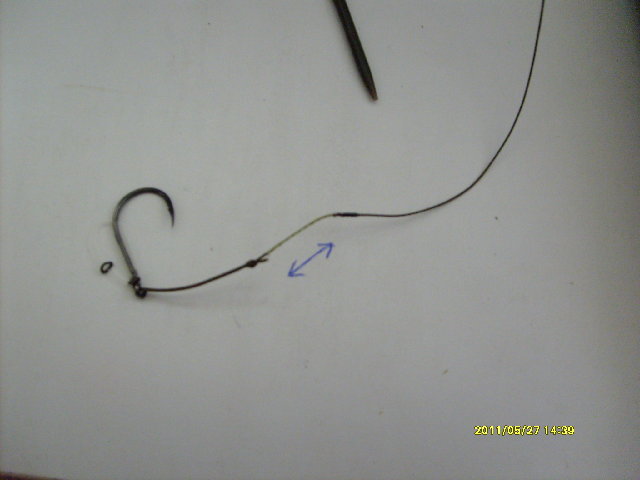 S6300389.JPG