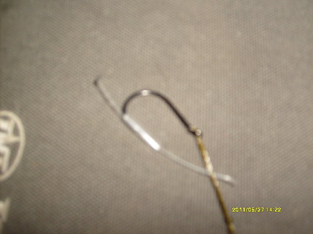 S6300381.JPG
