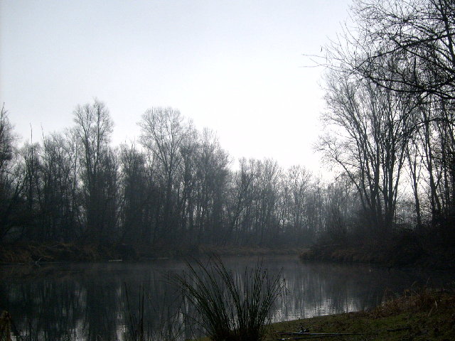S6300390.JPG