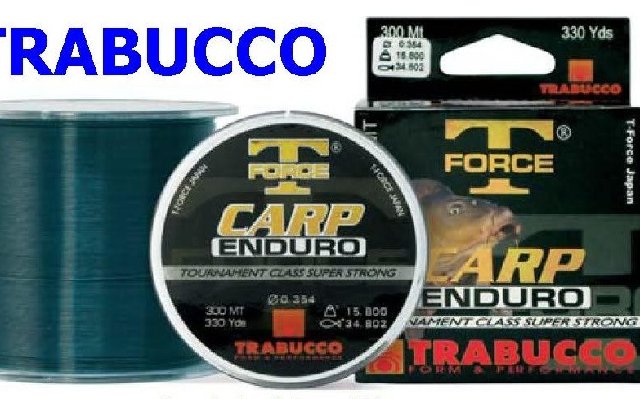 T force carp.jpg