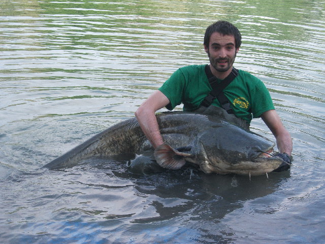 DSCF2186.JPG