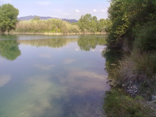 02062011066.jpg